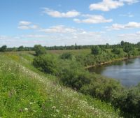 Новгородская область, Старорусский район, г. Старая Русса Участок №172