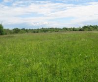 Новгородская область, Москва - Санкт-Петербург (М10) Участок №173