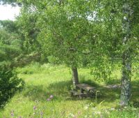 Новгородская область, Москва - Санкт-Петербург (М10) Участок №173