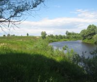 Новгородская область, Старорусский район, д. Малая Козона, Москва - Санкт-Петербург (М10) Участок №174
