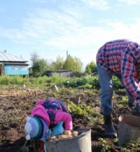 Работать в деревне