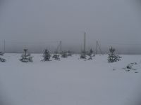 Ленинградская область Участок №188