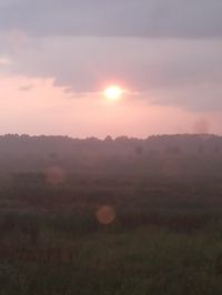 Ленинградская область Участок №192