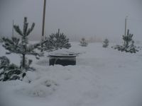 Ленинградская область Участок №195