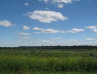 Купить земельный участок недорого