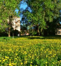 Куда переехать жить в России