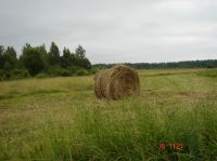 Земля КФХ – купить для бизнеса и достичь успеха!