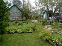 Новгородская область, Старорусский район Участок №204