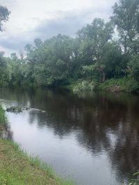  Участок №220