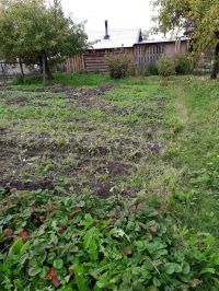 Новгородская область, г. Старая Русса Участок №231